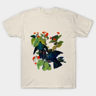 Audubons White crowned pigeon T-Shirt